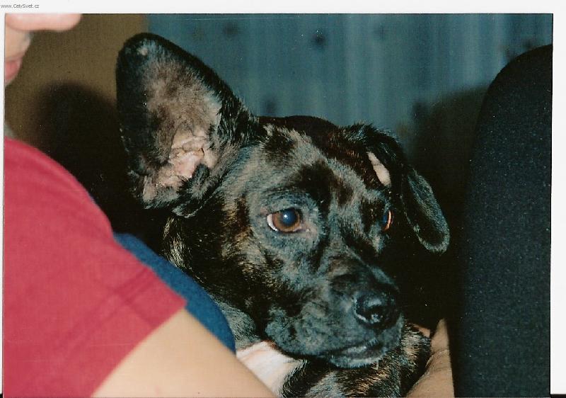 Foto: Bublinka-Neuteklo mi n�co?!