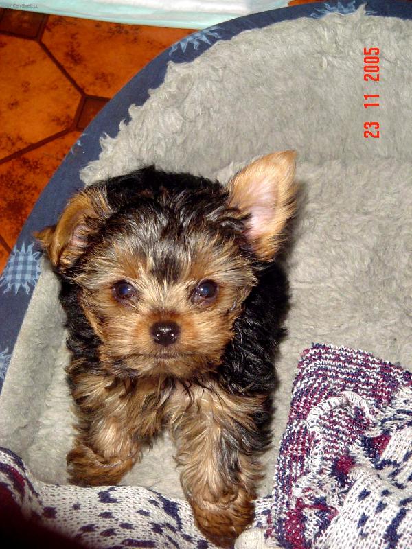 Foto: Vzpom�nka na Mat�ska-M�l sice kr�tkej, ale kr�snej �ivot