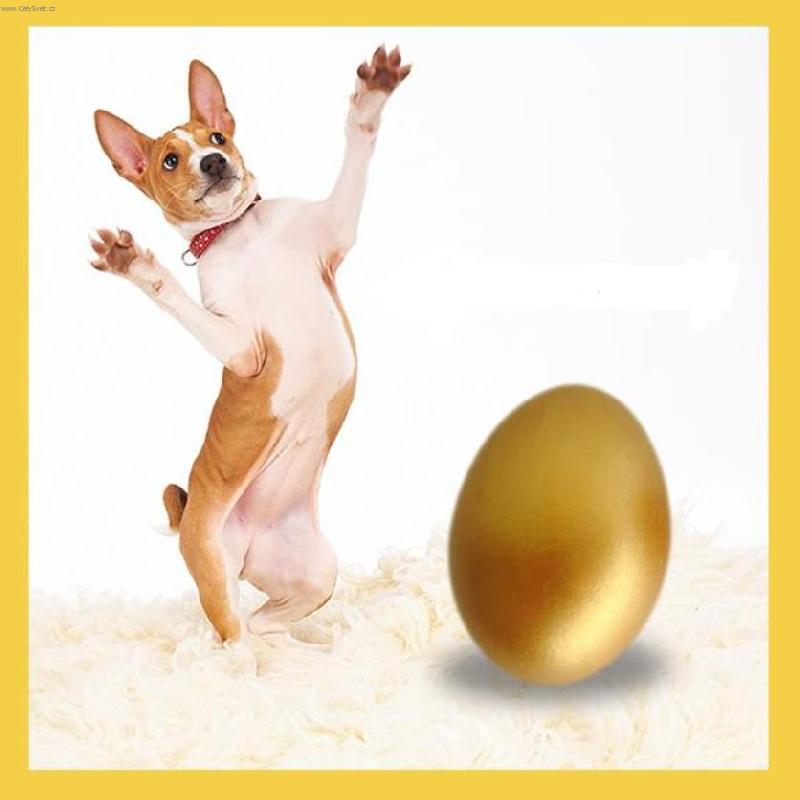 Foto: vesel� velikonoce