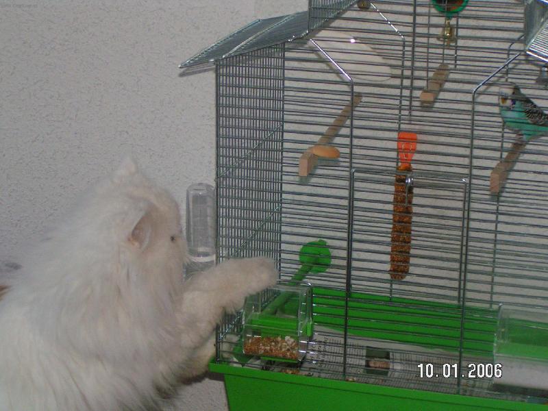 Foto: Fil�pek a Riky-hmm...jak se k n�mu dostanu ???