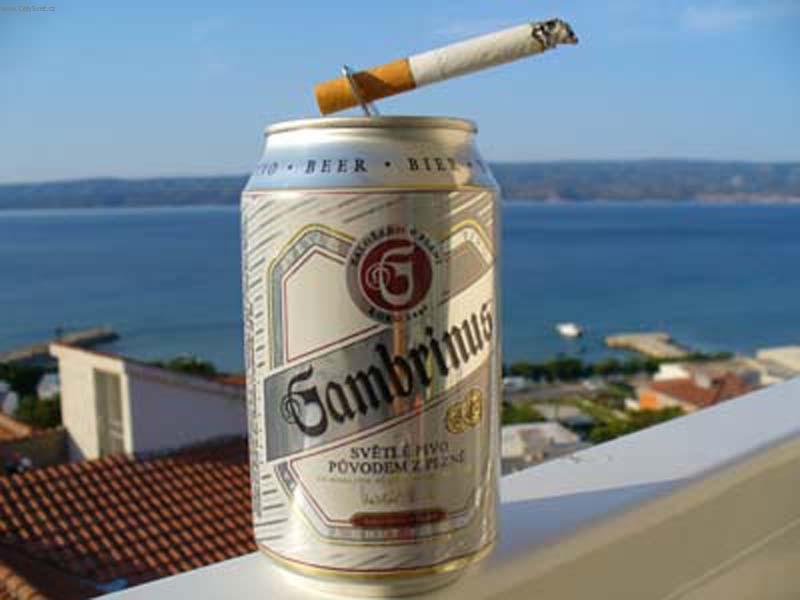 Foto: Ide�ln� dovolen� u mo�e-siesta