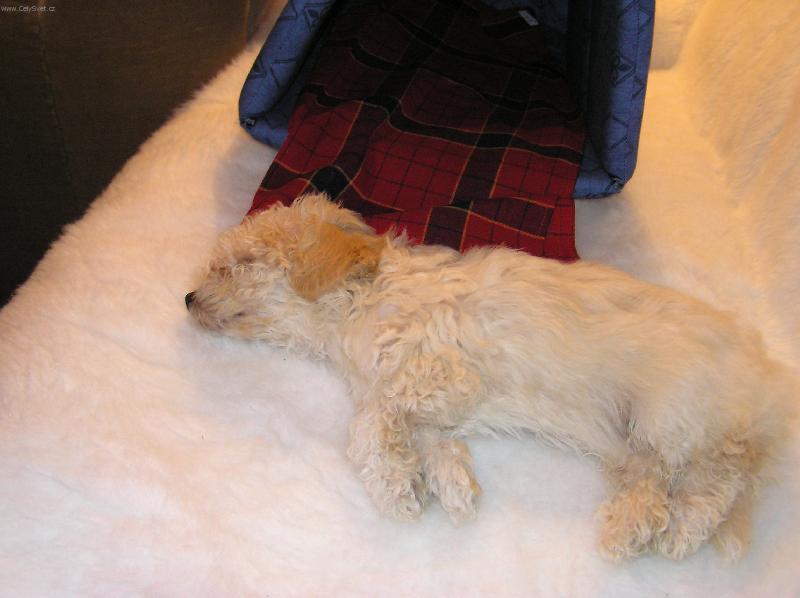 Foto: Zmo�en� �navou!-Ten pel�ek u� byl opravdu daleko!