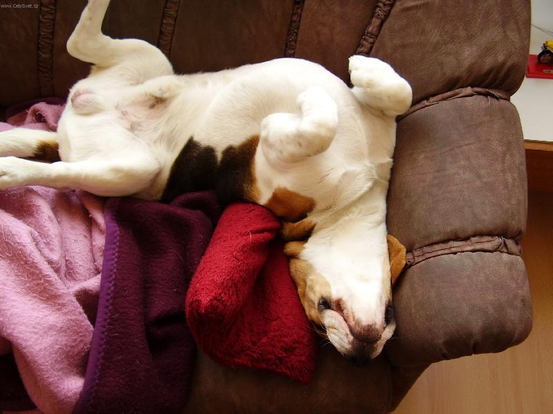 Foto: ned�ln� siesta