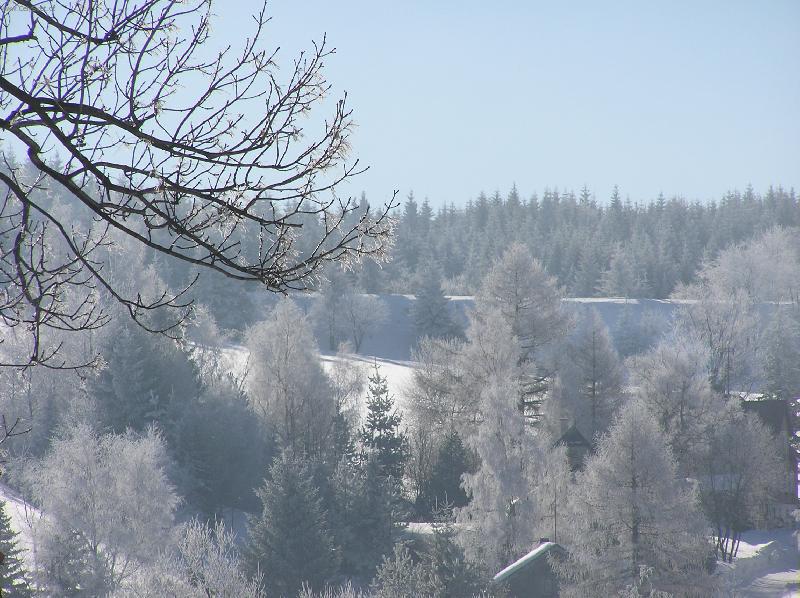 Foto: Kru�n� hory - Kov��sk�-19.b�ezen 2006 - jaro kde jsi?