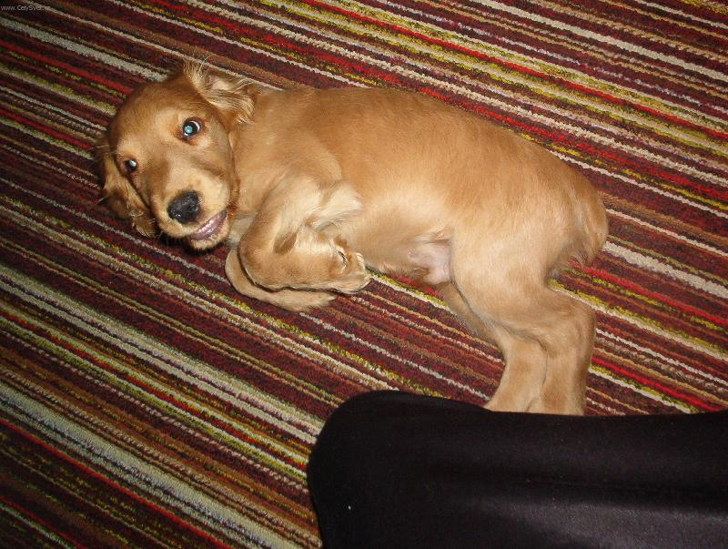 Foto: Marco-�sm�v pros�m :)