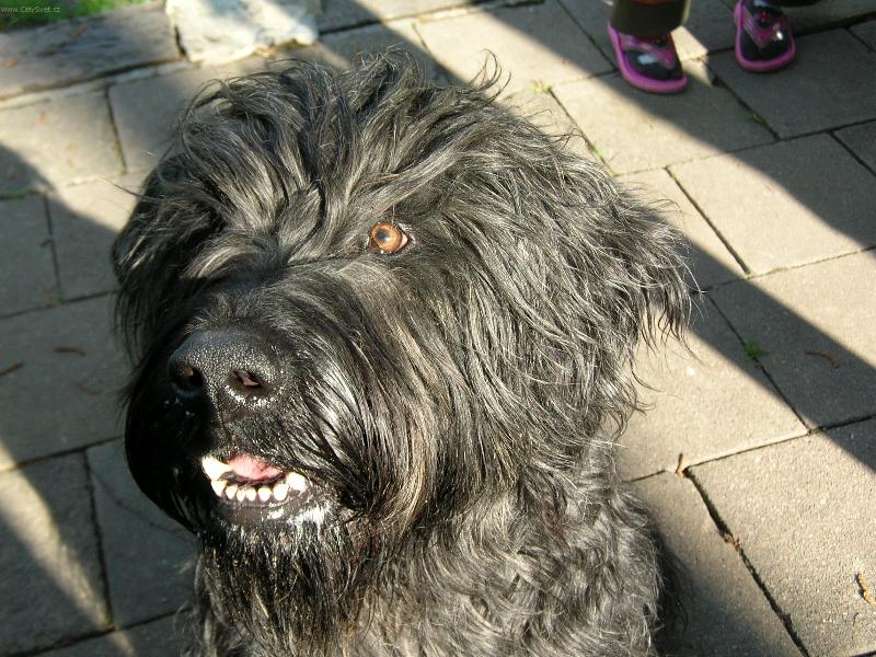 Foto: j� vid��m :)