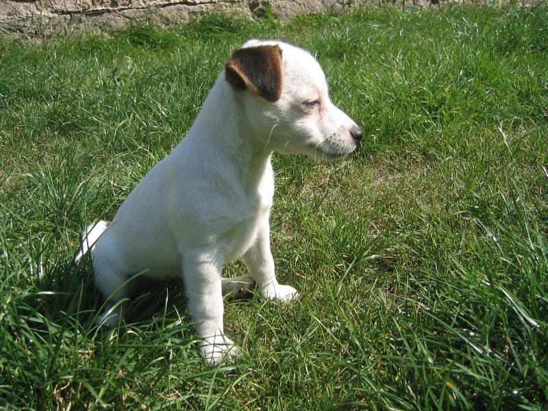 Foto: �t���tko