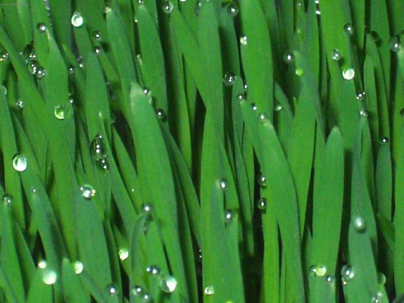 Foto: Kapky de�t�