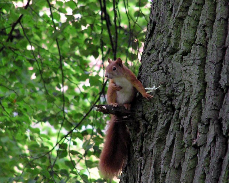 Foto: Lochovice u z�mku-Uff, jsem k smrti vyd�en�.