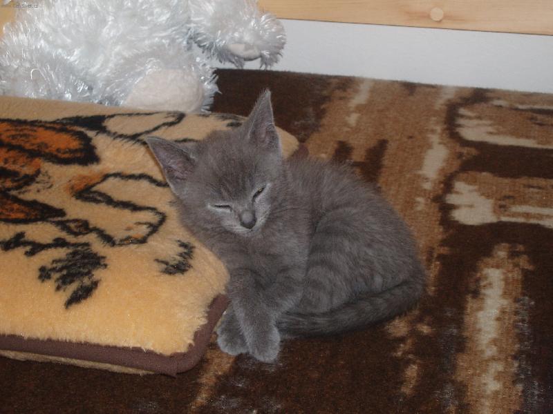 Foto: �ENDA-jo jo, j� vn�m�m...