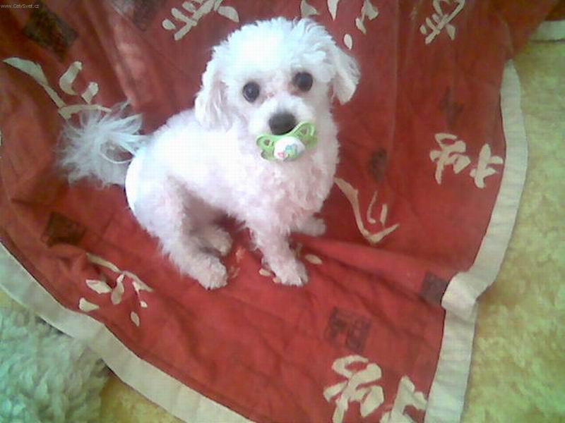 Foto: Ten jen ale dobr�!