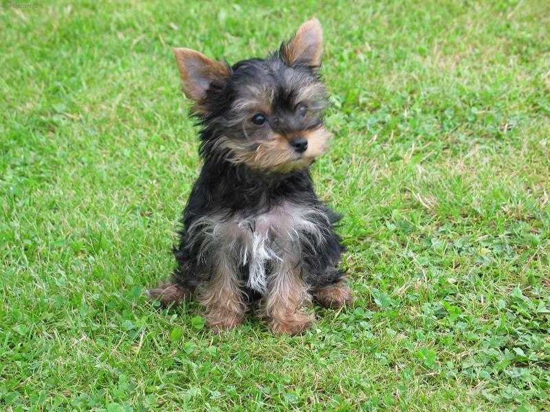 Foto: Ferda-... to bylo tenkr�t, kdy� jsem byl je�t� mal� ...