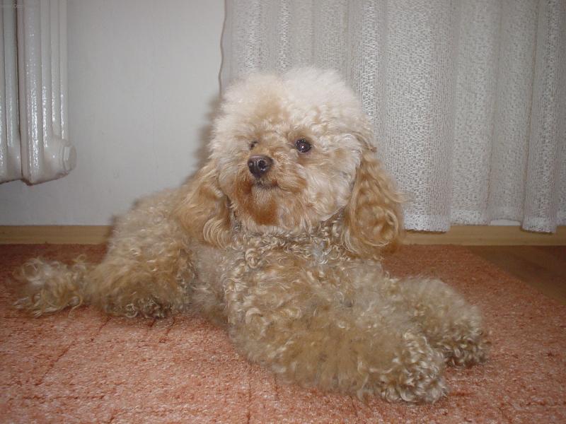 Foto: S�rinka-Tohle je na�e S�rinka