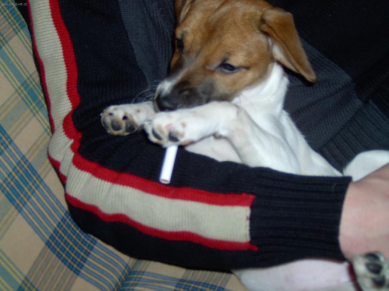 Foto: Jo ka�d� m� sv�j zlozvyk!-Jo ka�d� m� sv�j zlozvyk!