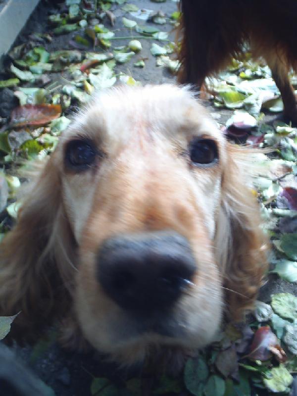 Foto: Gabika-takov� mal� �um�lek :)