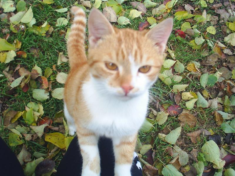 Foto: Maci�ek-d� mi pusinku   :)?