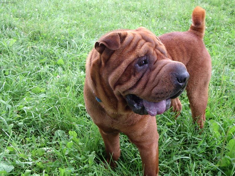 Foto: Edishek na pastv� =)-Edishek na pastv� =)