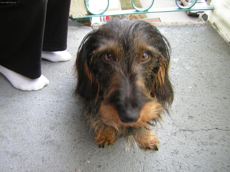 Foto: Bert�k-Tak to je n� py�ul�nek...