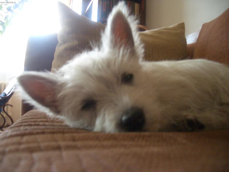 Foto:  �t�n� Ad�lka