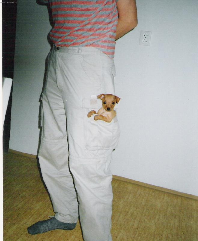 Foto: �t�n� Endik