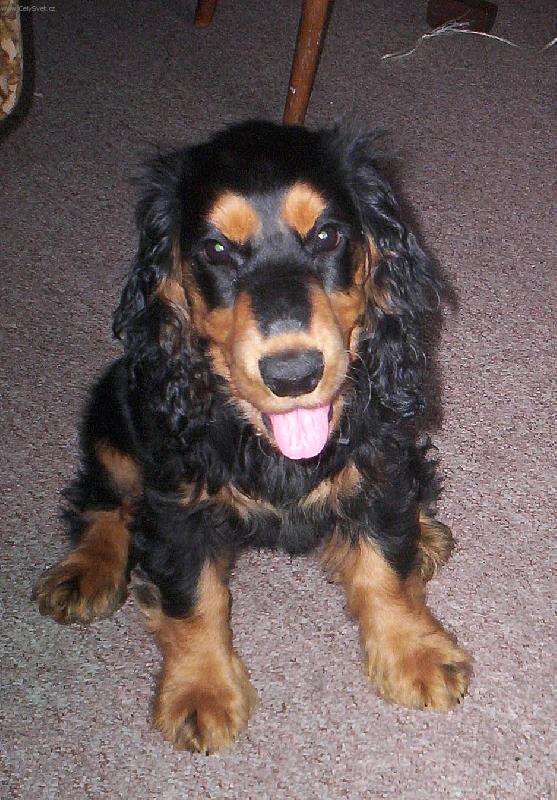 Foto: Bar�a-u� jsem to vymyslela