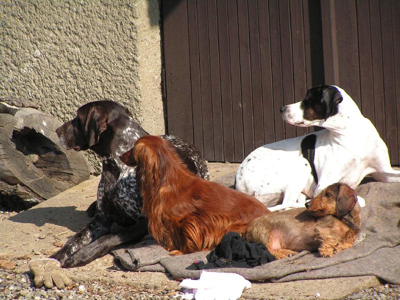 Foto: Copak se d�je-odpo�inek na prvn�m jarn�m slun��ku