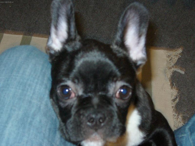 Foto: Blueberry-Dejte si na mn� bacha, p�� m�j ta�ka byl Batman!!!