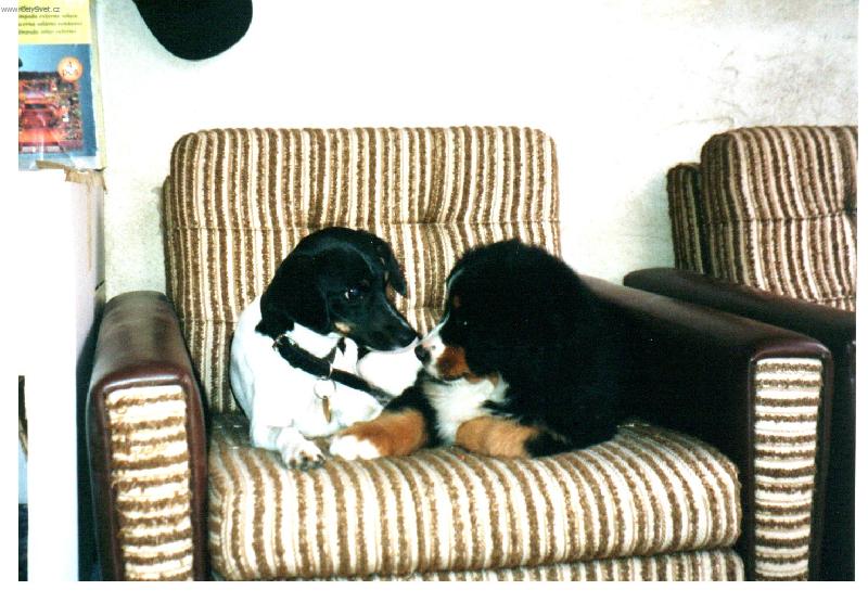 Foto: Ty ale nevypad� stejn� jako j�