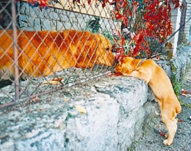 Foto: Eninka-seznamov�n�