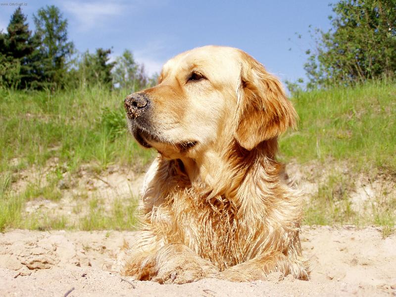 Foto: Nelinka-To slun��ko dnes ale p�l�