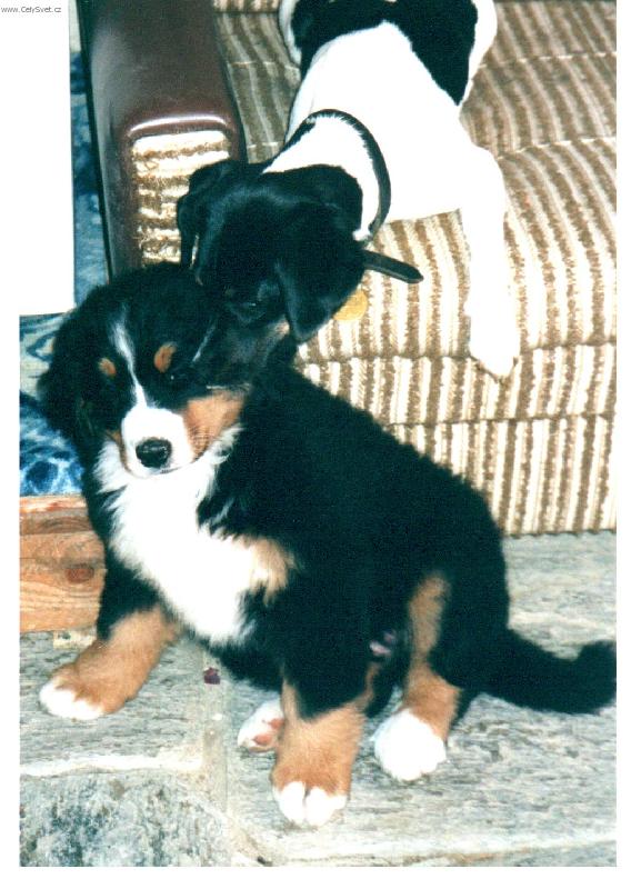 Foto: Jenom jednu pusinku