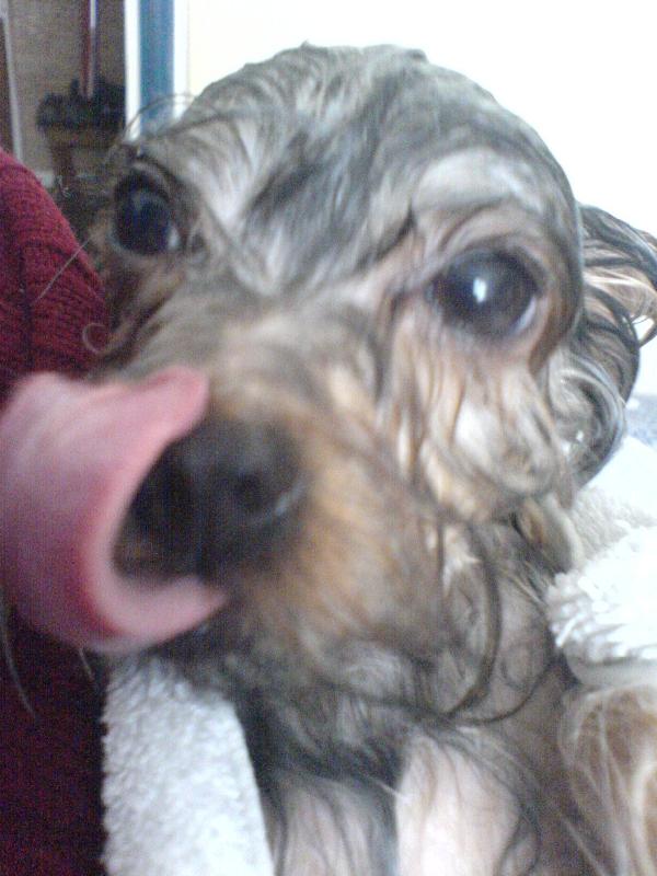 Foto: Mal� Ernest-Jaz��ek