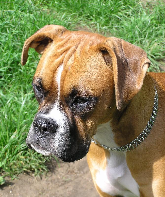 Foto: Na louce-Aemin�in portr�t