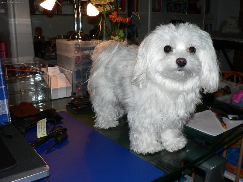 Foto: uprost�ed l�ta p�ed soumrakem-na v�let� v n�rodn�m parku...