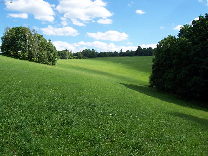 Foto: �umavsk� l�to-Jak to na �umav� vypad�, kdy� zrovna nepr��...