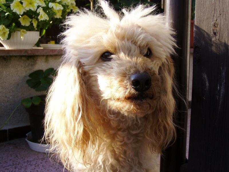 Foto: N� milᚚ�ek-Kuk :-)