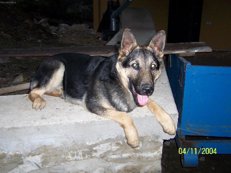 Foto: Bad�k-Odpo�inek po dlouh�m dni.