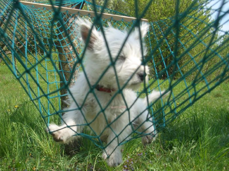 Foto: ad�lka-Ad�lka na houpac� s�ti