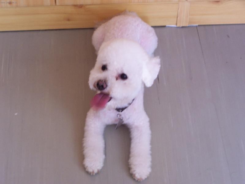 Foto: kenny-pr�v� jsem p�i�el od holi�ky