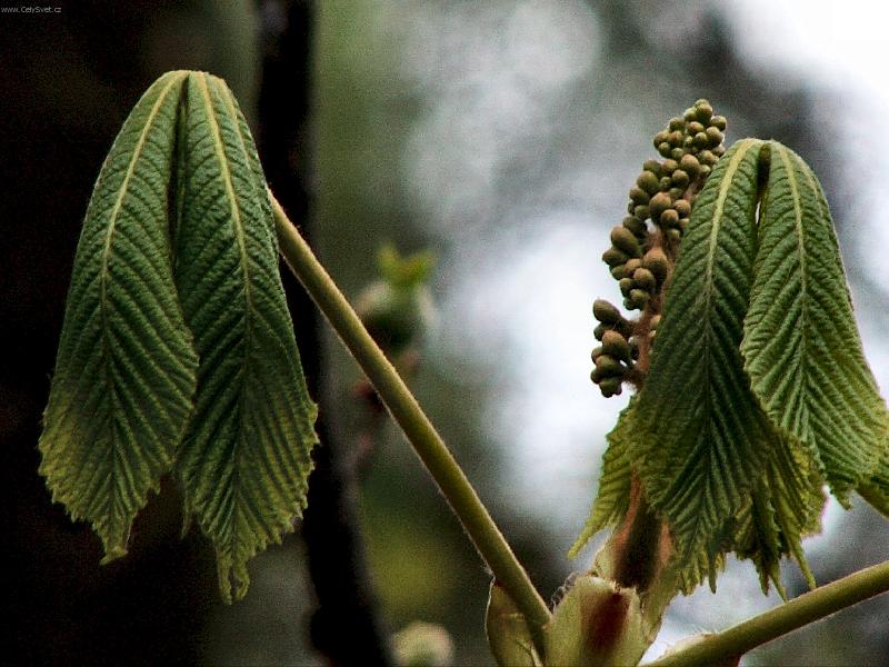 Foto: U�, u� u� to bude...