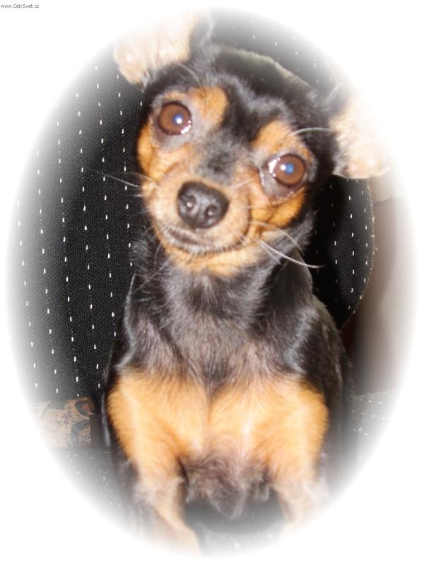 Foto: Betynka-portr�t