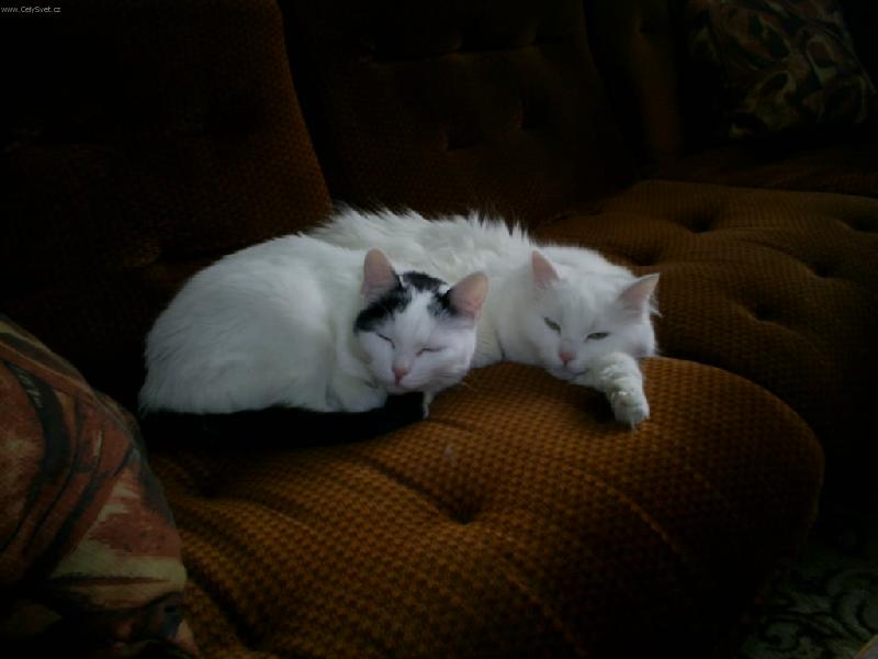 Foto: Takhle spolu spink�me