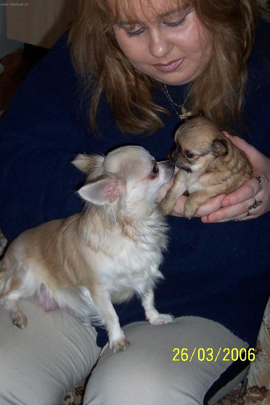 Foto: Zuzanka se sv�m mim�em-Pusinka od m�my