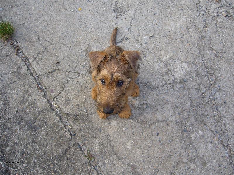 Foto: Zamy�len�-Up�en� pohled �t�n�te