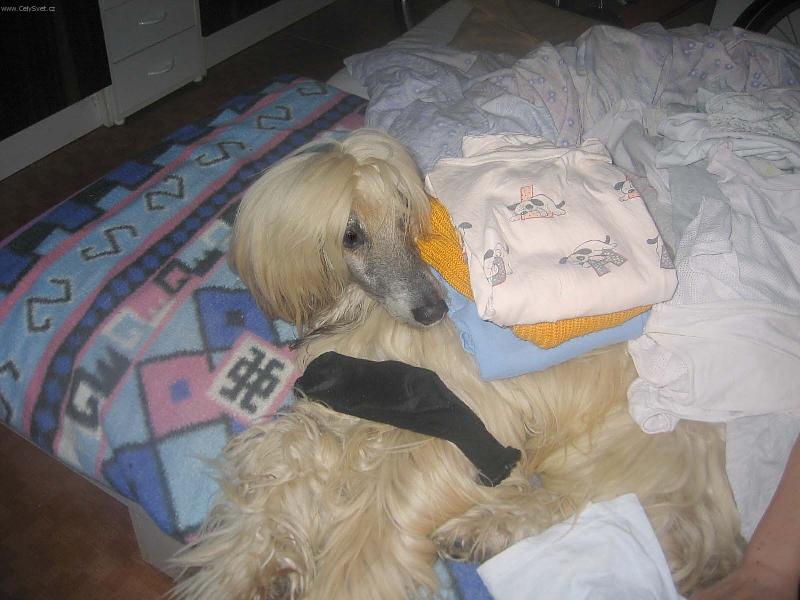 Foto: Hezky to �imr�