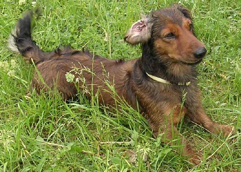 Foto: Ron�sek-Ron�sek na v�let� na Karl�tejn