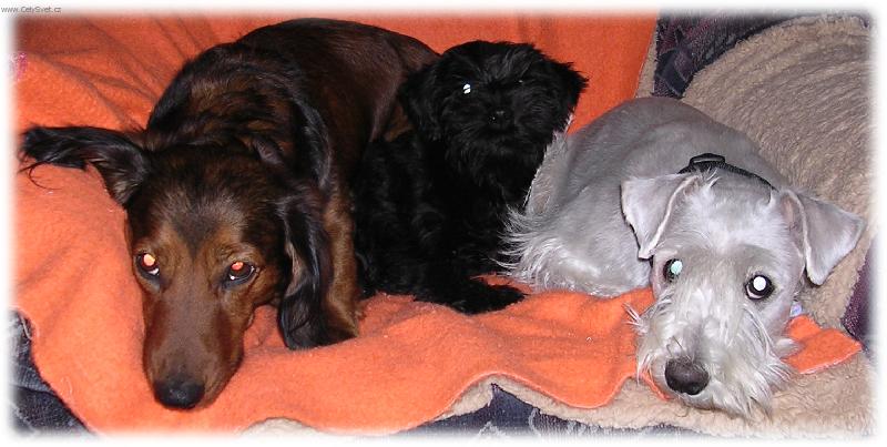 Foto: Rony, Pachira a F�tima-Ron�sek a jeho dv� kamar�dky