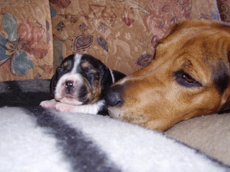 Foto: TO CHCE KL�DEK LIDI