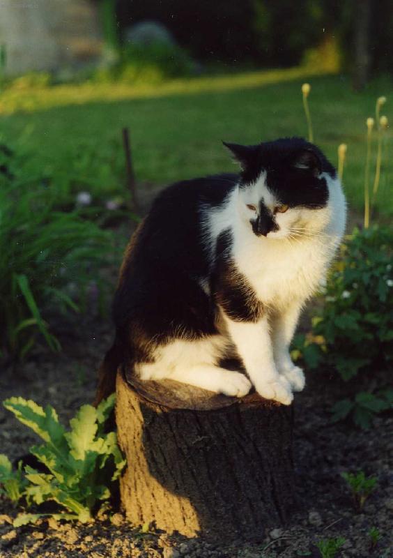 Foto: �ENDA-NALEZENEC V KAMENOLOMU