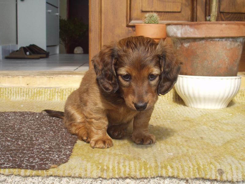 Foto: JARO-�AS ML���TEK-KLUK JAK �PAL��EK